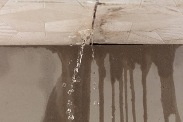 Professional Structural Drying technician working in Bates City, MO